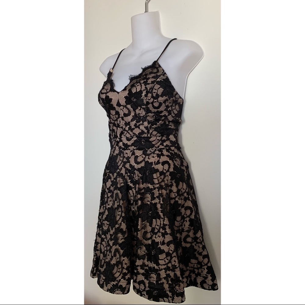 Windsor | Black & Tan Lace Mini Skater Dress Size Medium